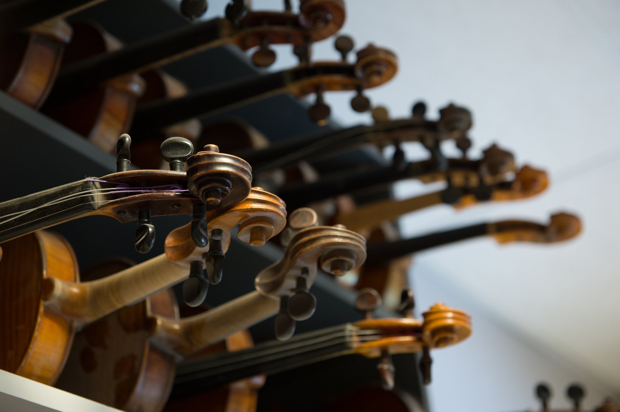 KÜSITLUS | Kas kultuuritöötajatele palk peaks olema vähemalt 2000 eurot?