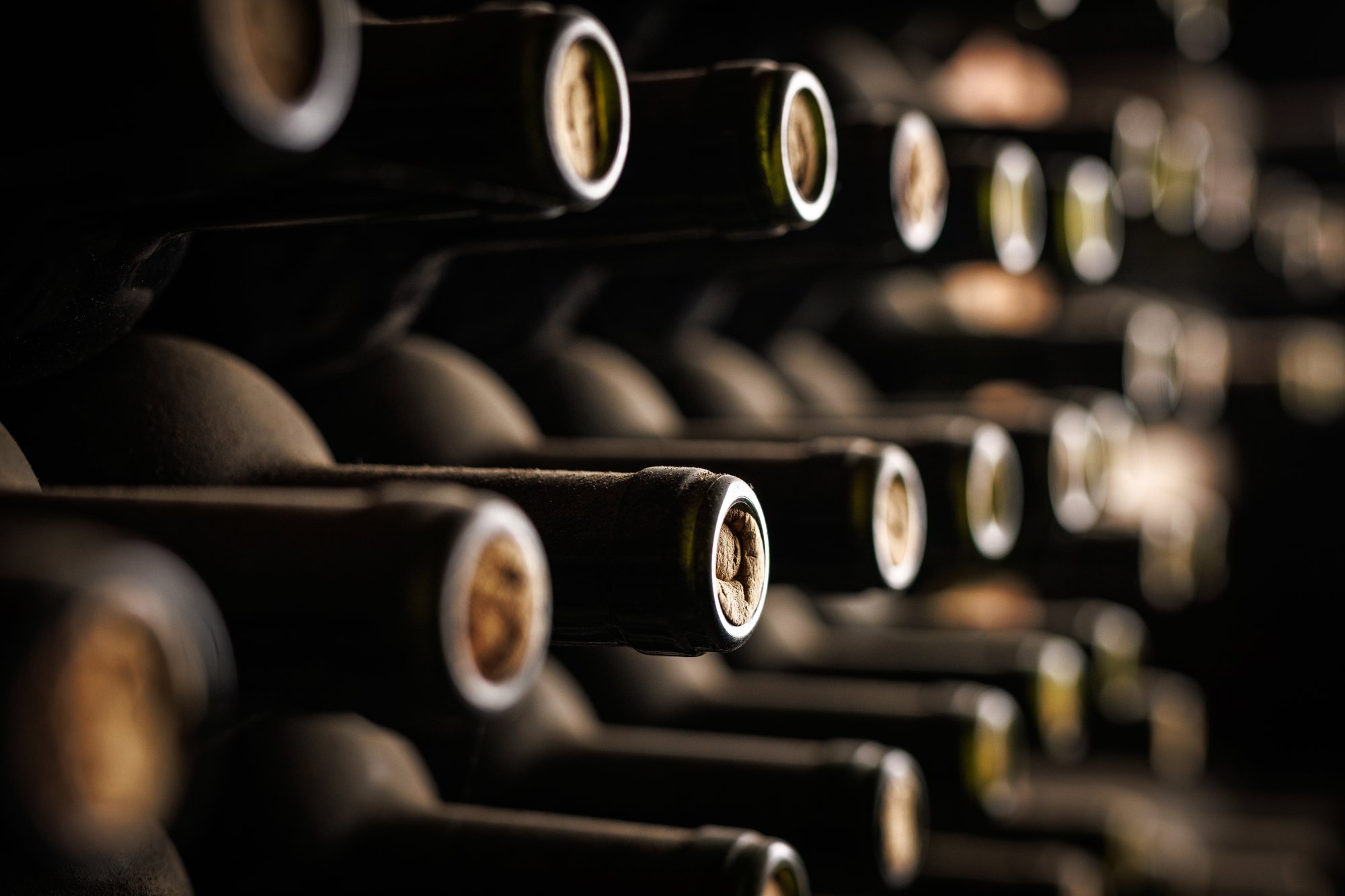 Brettanomyces: veinimaailma üks polariseerivamaid nähtusi ja kõige vastuolulisem „viga“