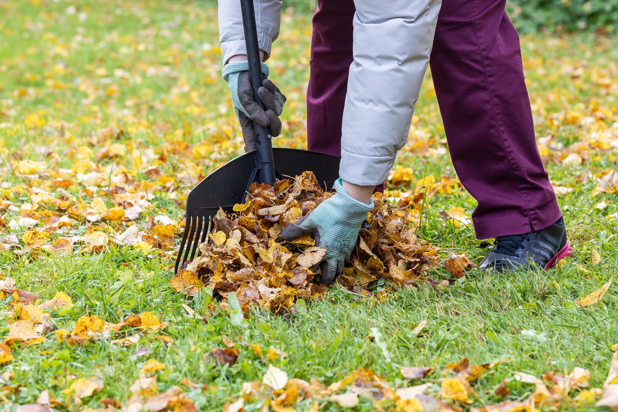 Soomlased on hädas ebatavalise uputusega: puudelt langevaid lehti ei jõuta kokku riisuda