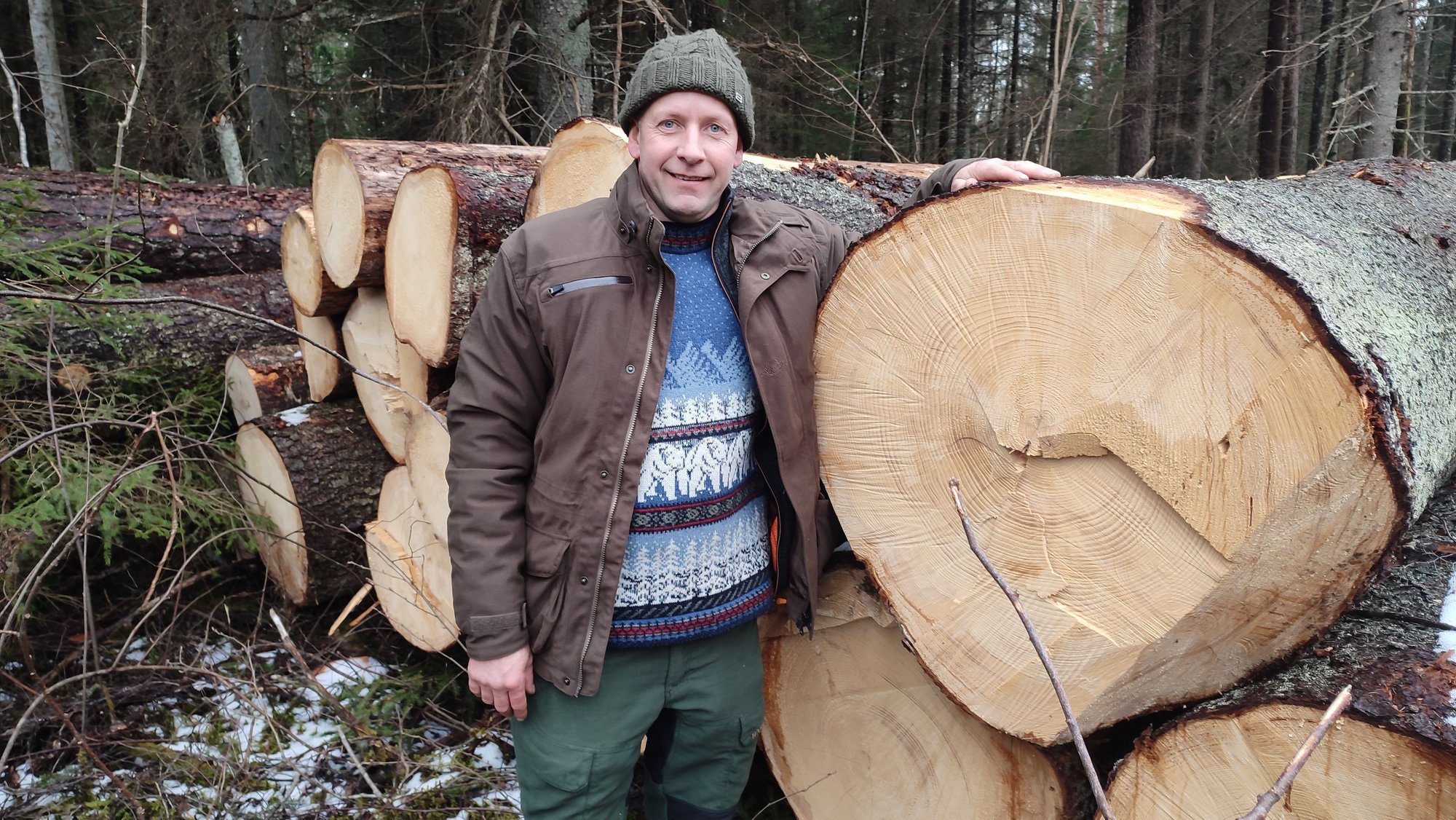 Valus löök kogu metsandussektorile? Linnurahu viib Eesti ettevõtted konkurentsist välja