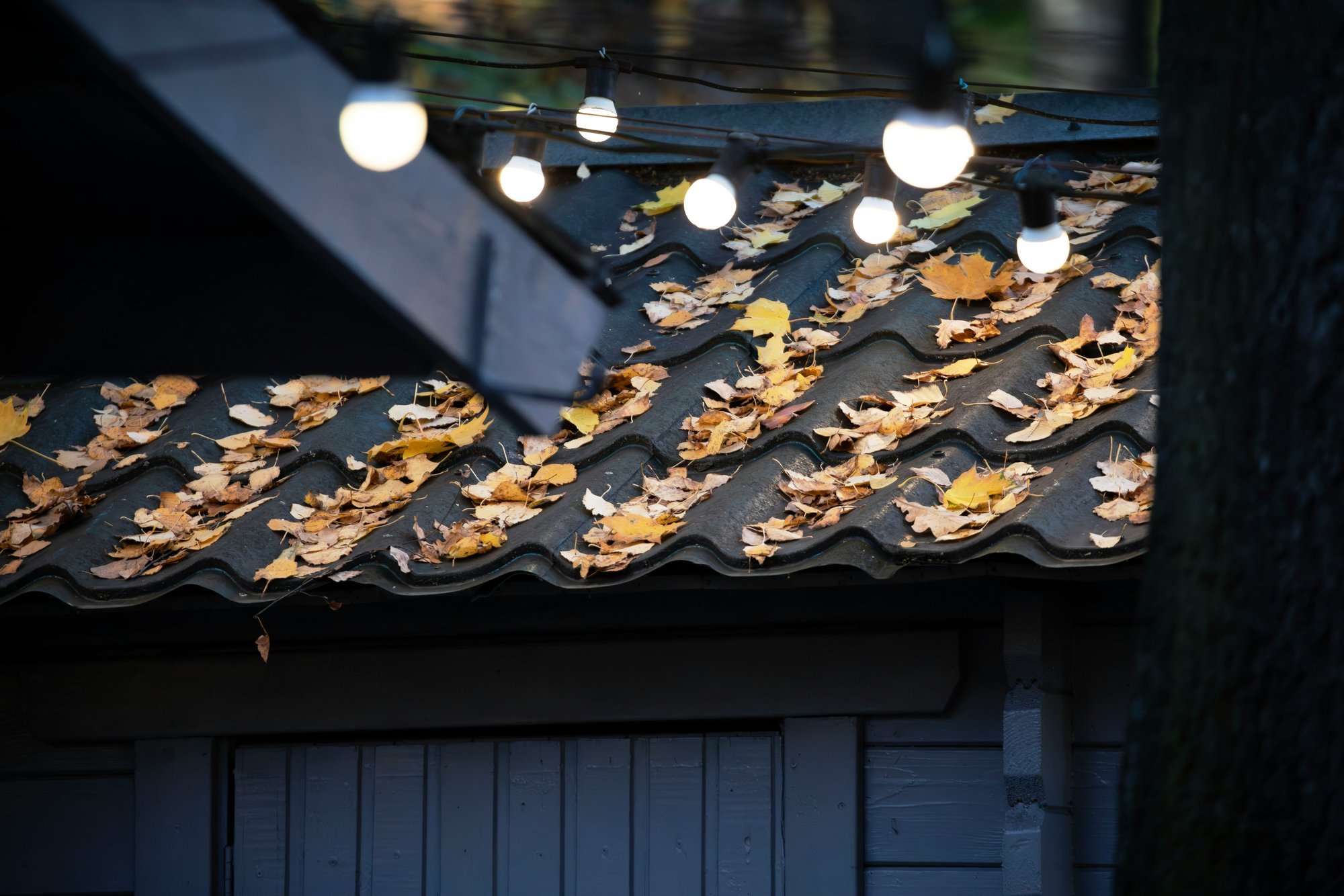 Kuidas elab maja müts ja veel seitse asja, millega majaomanik peab enne talve tegelema