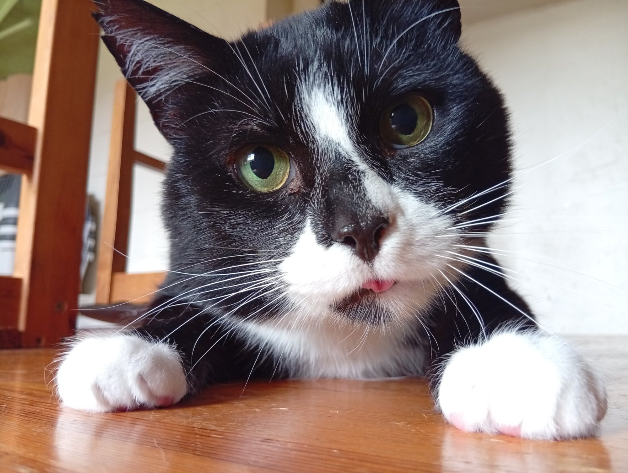 TAHAKS KOJU | Muhe jõumees Potter toob lootuse hinge ja naeratuse näole