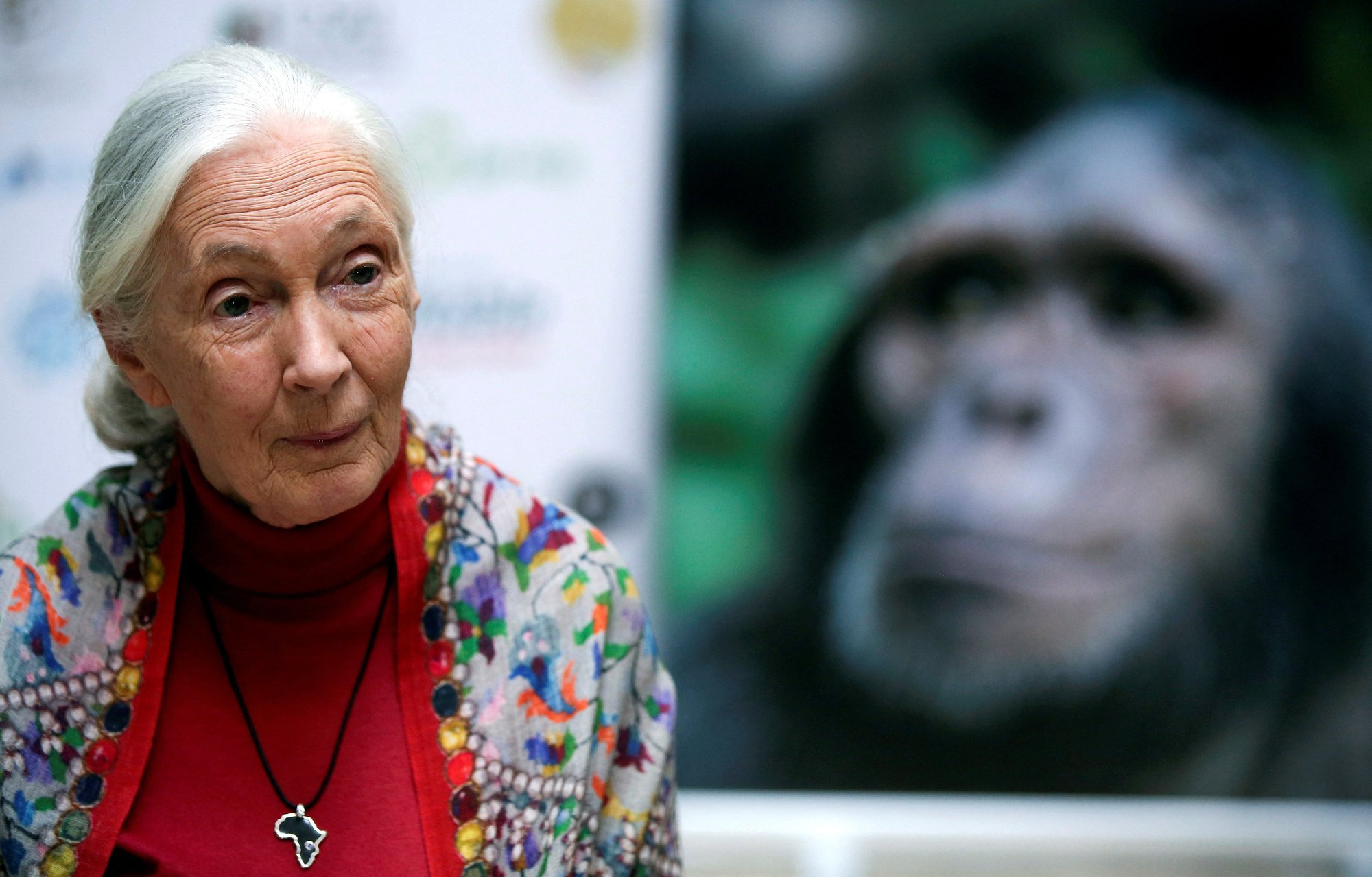 Suri primatoloog Jane Goodall, kes muutis maailma arusaamu šimpansidest