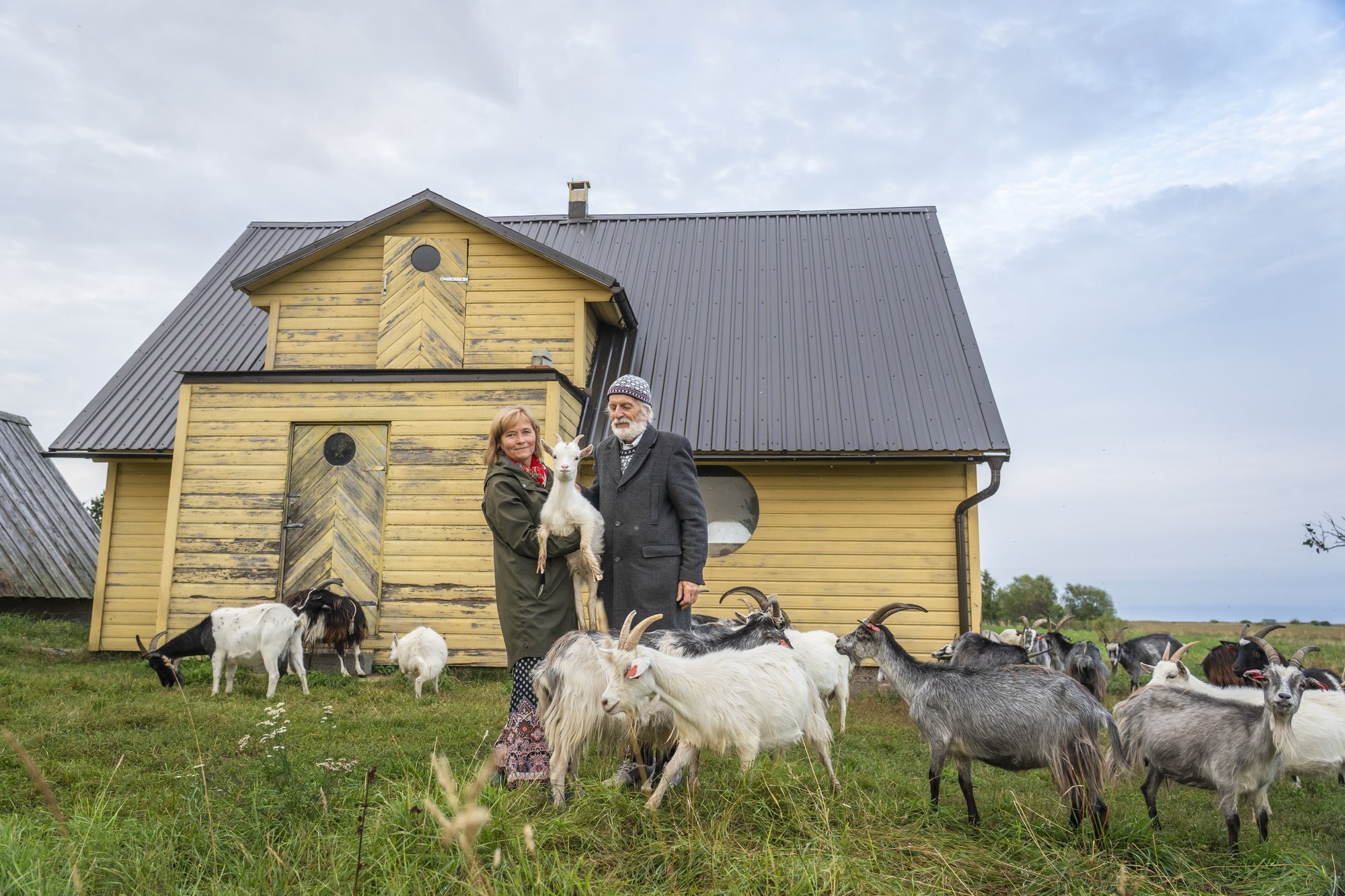 Mark Soosaar elab kitsetallede ja lammastega ühe katuse all. Eelmise sajandi alguses ehitatud maja on läbinud suure remondi