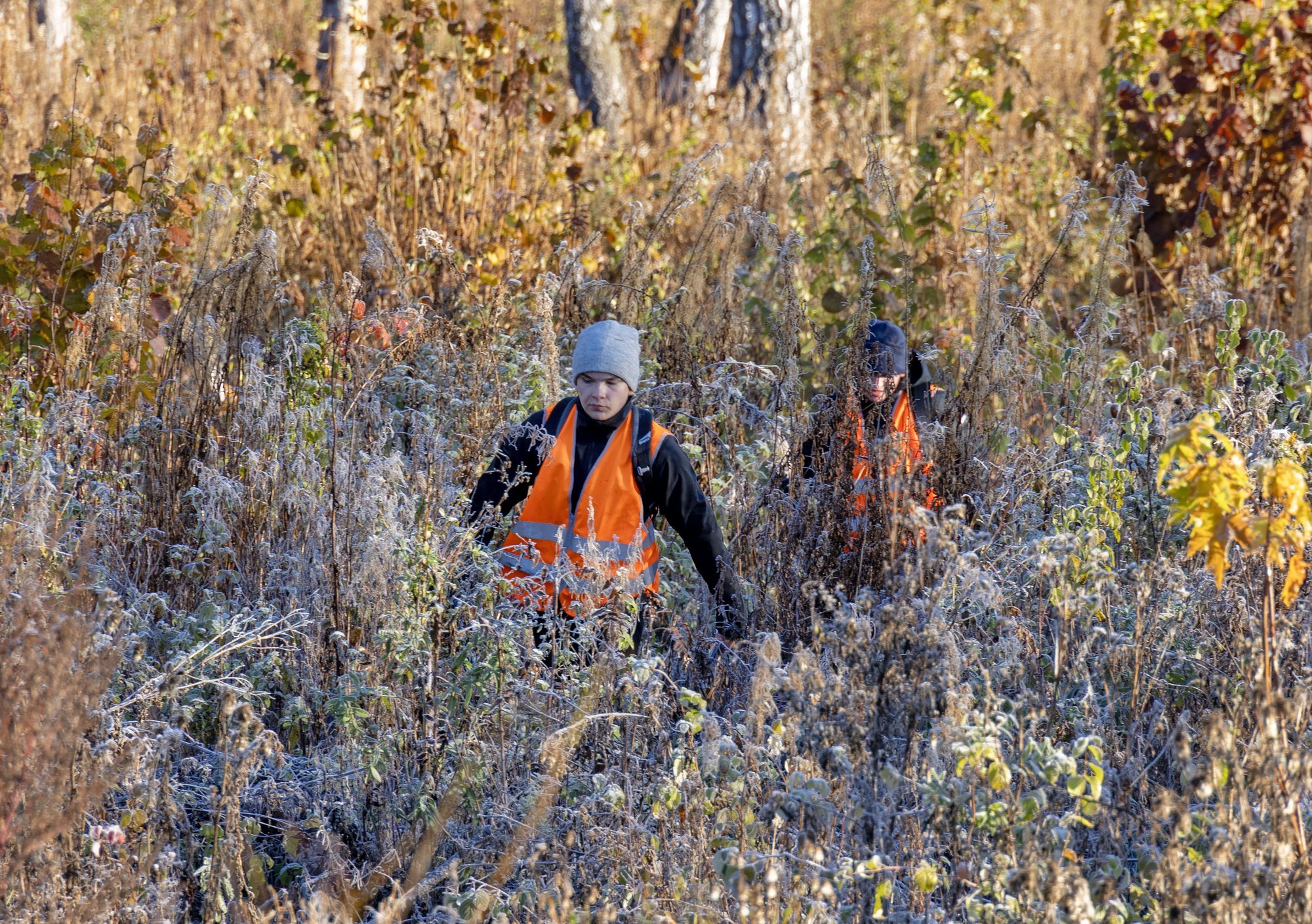 Jahimehed annavad loodusõpet: noored lähevad metsa huntidega ulguma