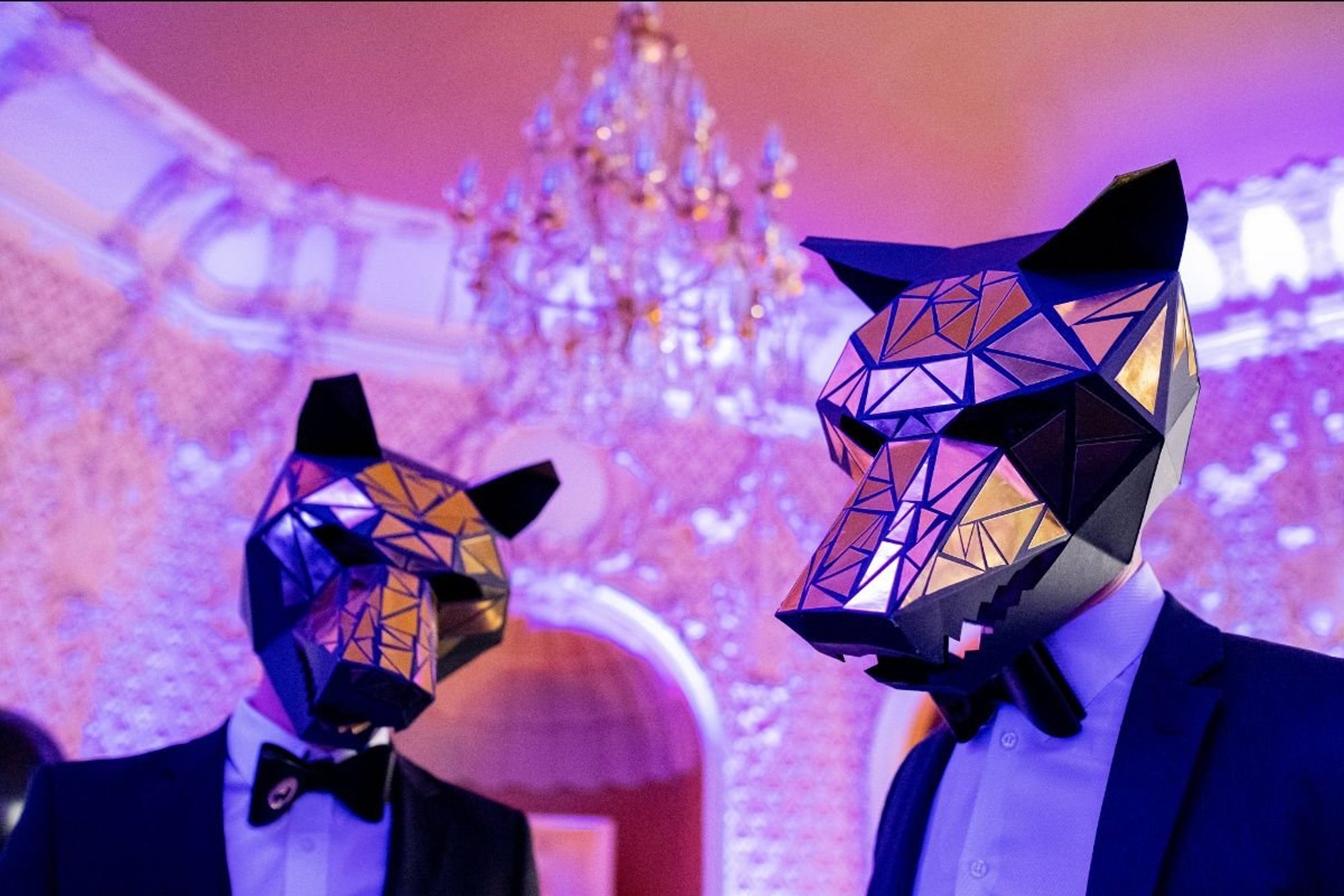 PÖFF-I KOMPASS | Kuidas leida 500 hoolega valitud filmi seast õiged?