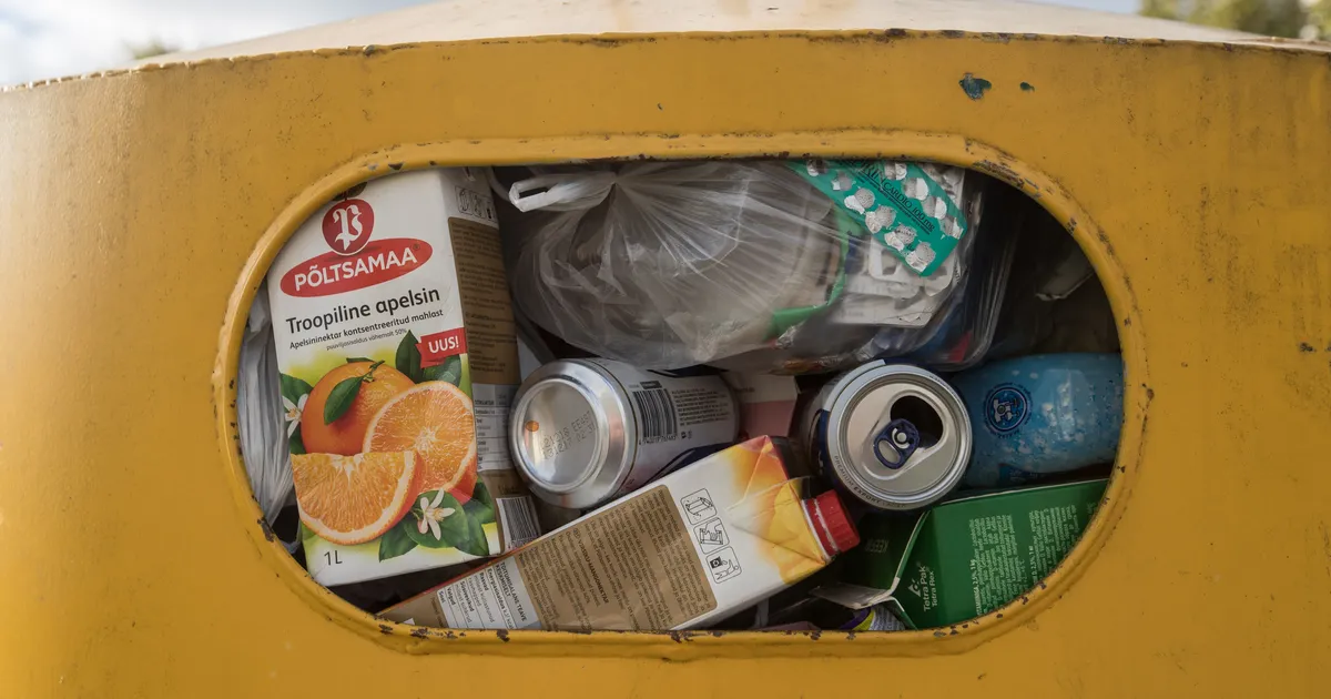 SIRJE POTISEPP ⟩ Rohepöörde sildi all paisub praegu uus hinnapomm