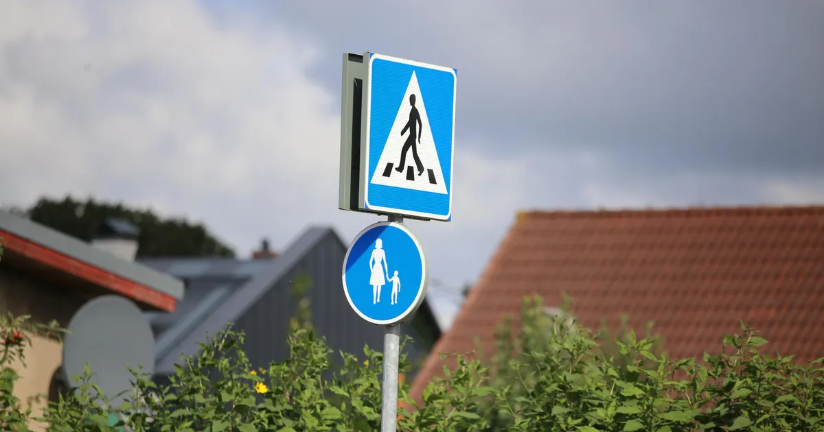 Kaubikujuht sõitis otsa koolipoisile