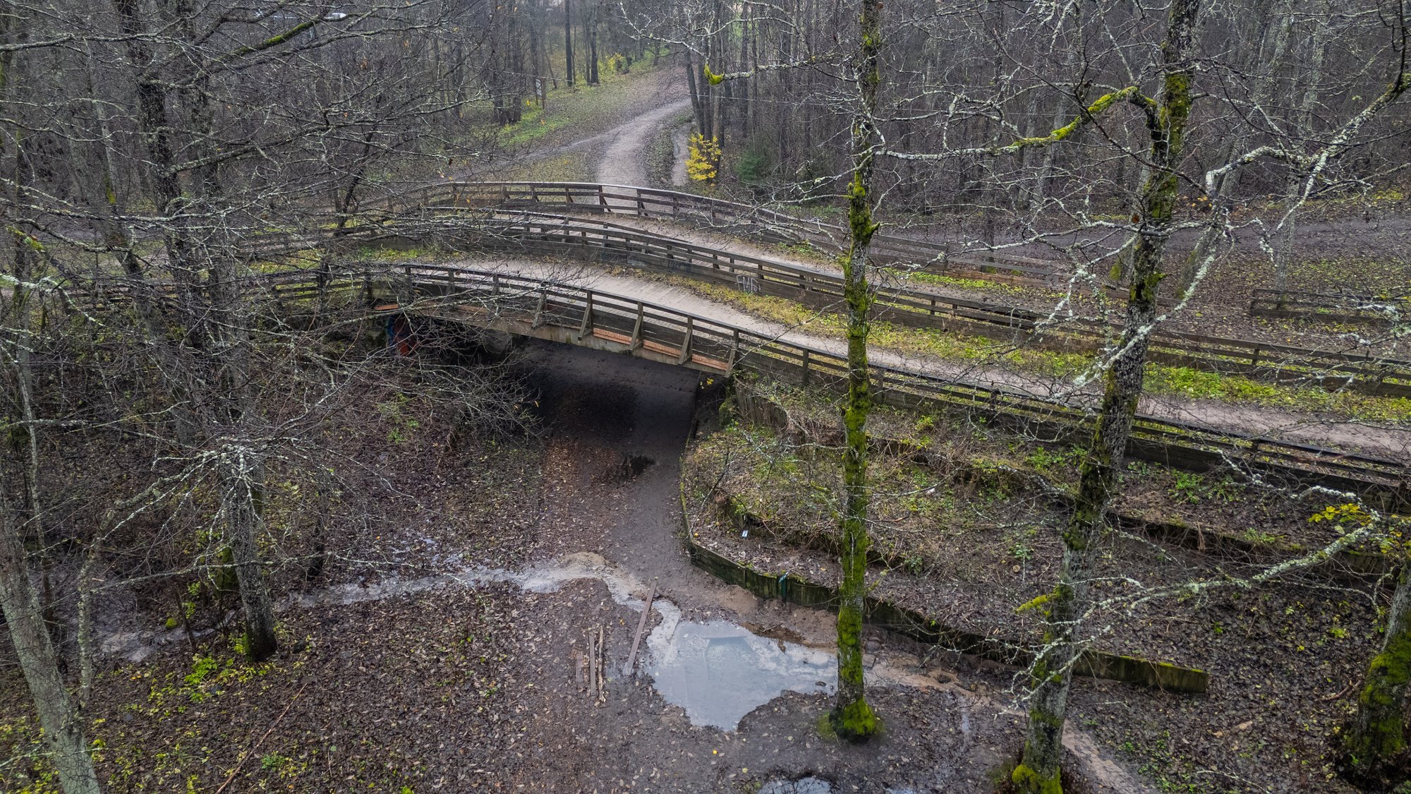 Kohtuvaidluse tõttu takerdunud Nõmme uue suusasilla ehitus sai rohelise tee. Sellele vastu seisnud looduskaitsjad leppisid kompromissiga