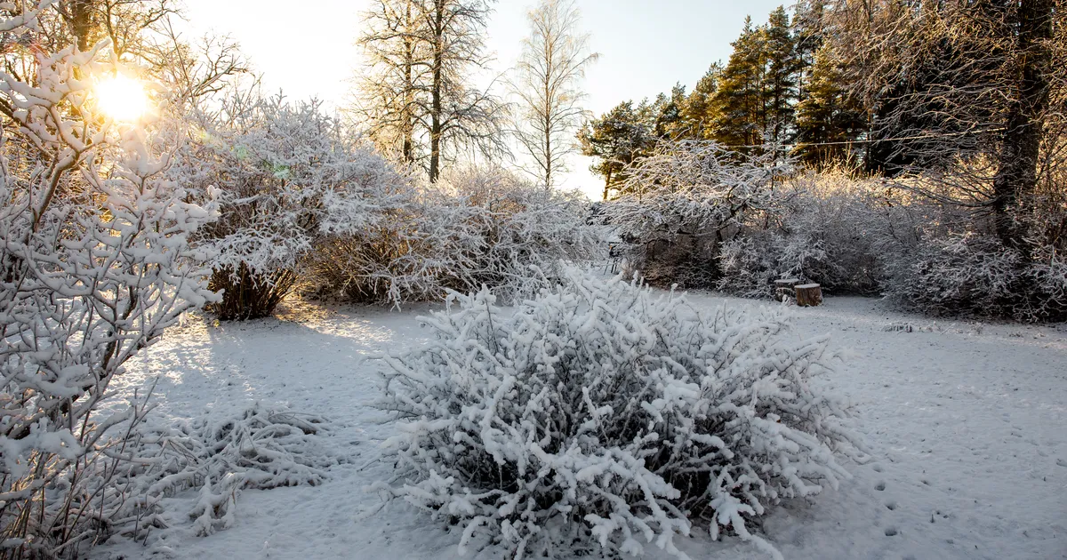 ILM TULEB HEITLIK ⟩ Eesootav nädal toob tuult, lörtsi ja päikest
