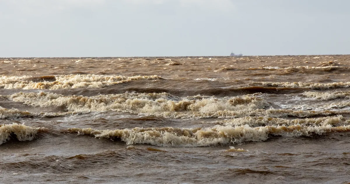 Kogu Eesti sai tugeva tuule hoiatuse