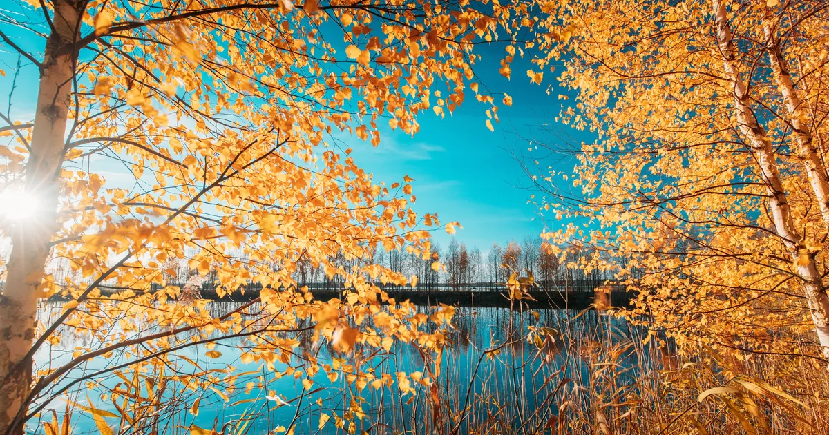 PÄEVAHOROSKOOP ⟩ 11. november: Jäärad peavad enese eest seisma, Ambur on enesekindel ega satu segadusse