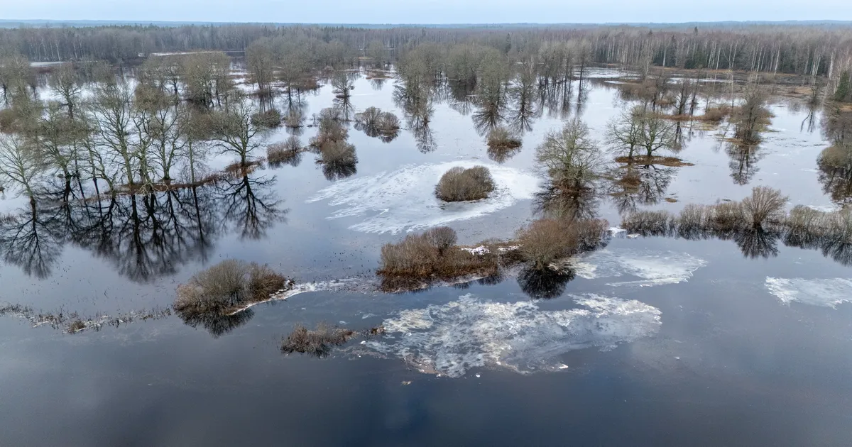 Reedel on kuni kuus kraadi sooja