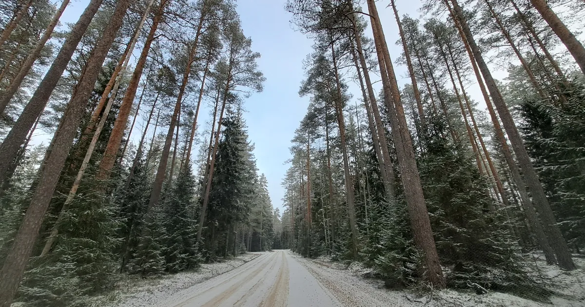 Keskkonnaagentuur andis tuule- ja libedahoiatuse