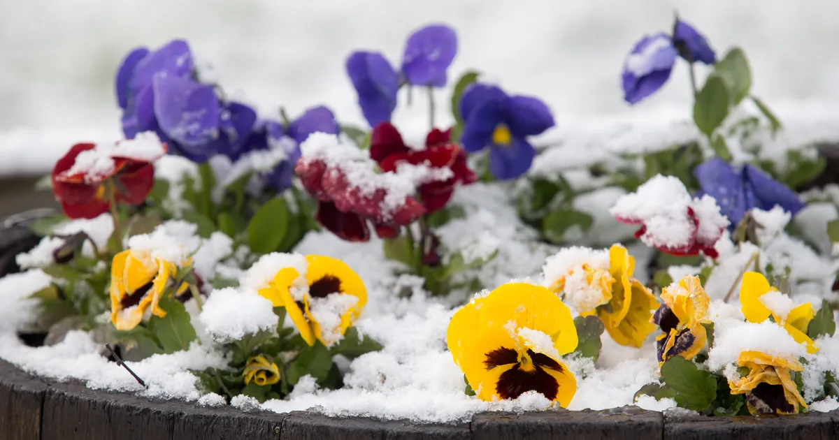 Esmaspäev toob heitliku ilma