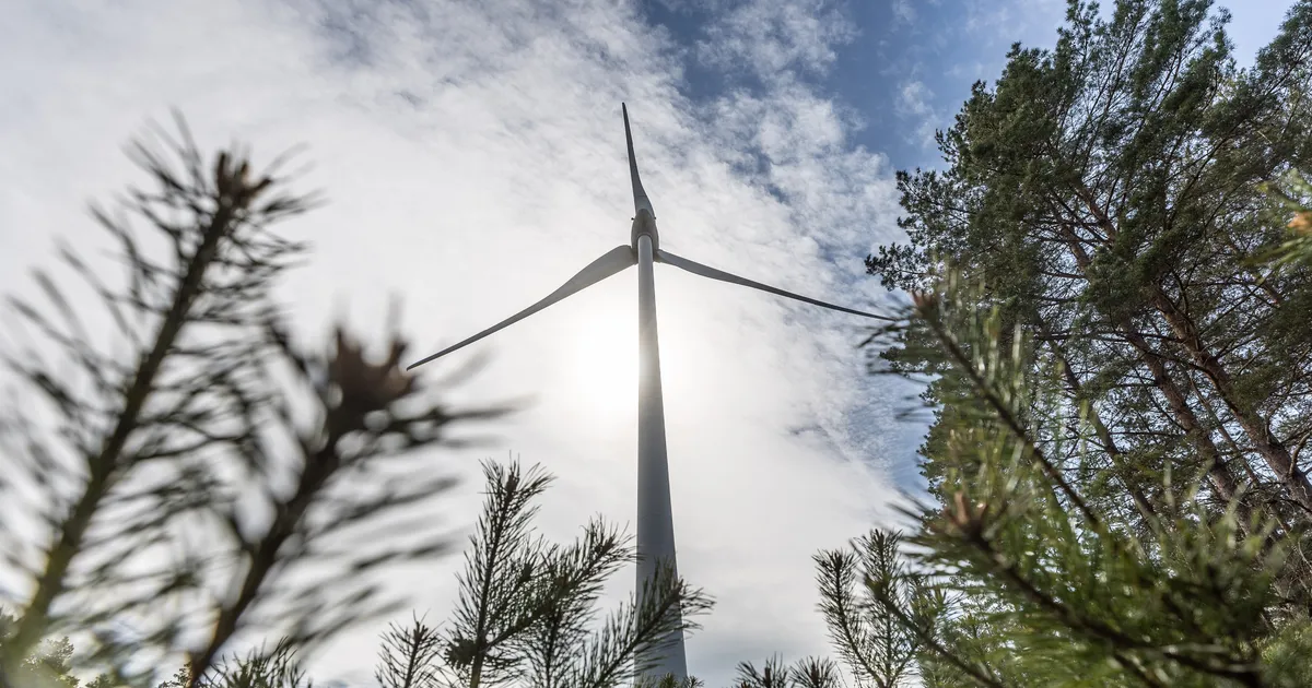 URMAS MARANIK ⟩ Inetu tõde: mille arvelt kerkivad riiklikult planeeritud tuulikud?