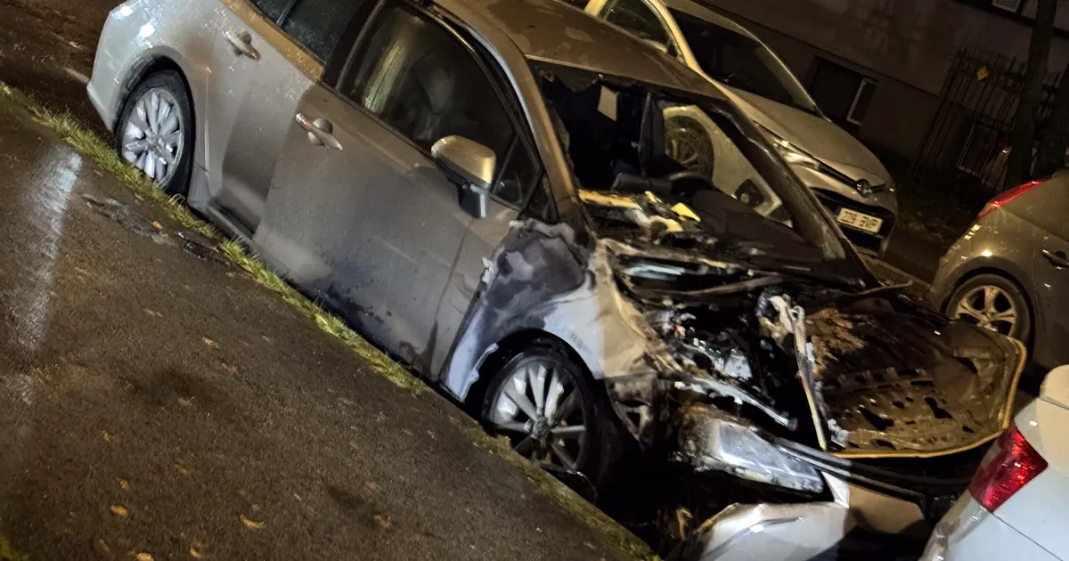 FOTOD JA VIDEO ⟩ Kaks põlenud autot ja 16 läbitorgatud rehvi! Tallinlanna sattus enneolematu terrori alla: ma ei tea, mis edasi saab