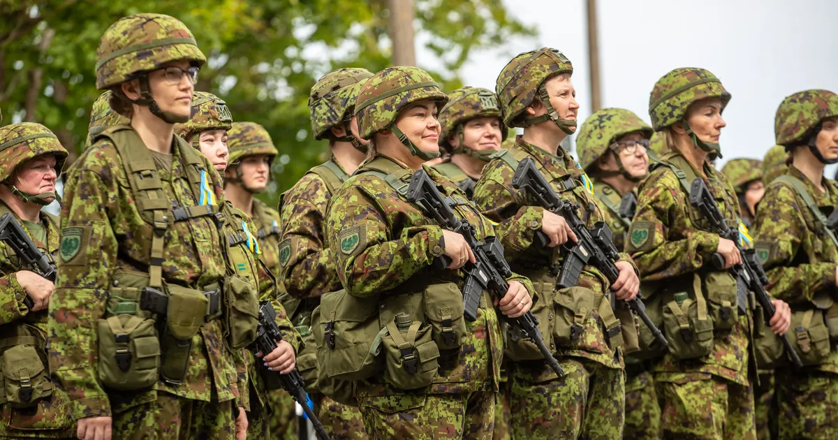 Kaitseväes vabatahtliku teenistuse loomine läbis teise lugemise