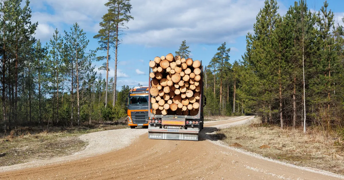 Plaanitav seadusemuudatus lihtsustaks metsavargusi ja ebaseaduslikke raieid
