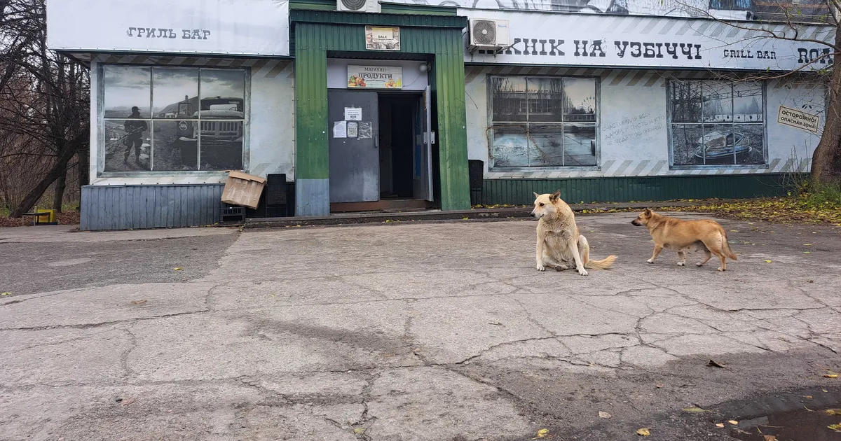 Müsteerium lahendatud: selgus, miks koerad Tšornobõlis siniseks läksid