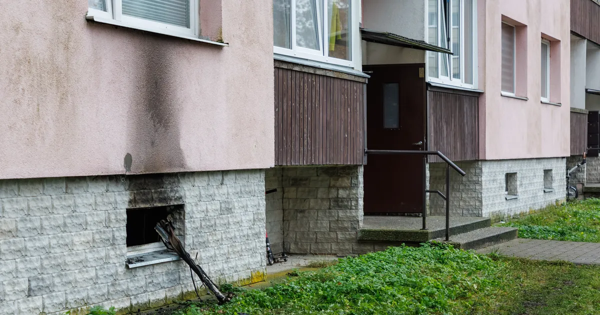 PLAHVATUSOHTLIK KELDER ⟩ Kui tõsine on probleem kahtlaste panipaikadega ja mis saab elanikest pärast suurt kahjut