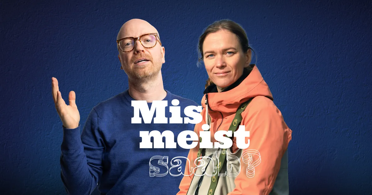 MIS MEIST SAAB? ⟩ Tuul Sepp: on suur vahe, kas Eesti metsa majandavad kohalikud inimesed või välismaa ettevõtted