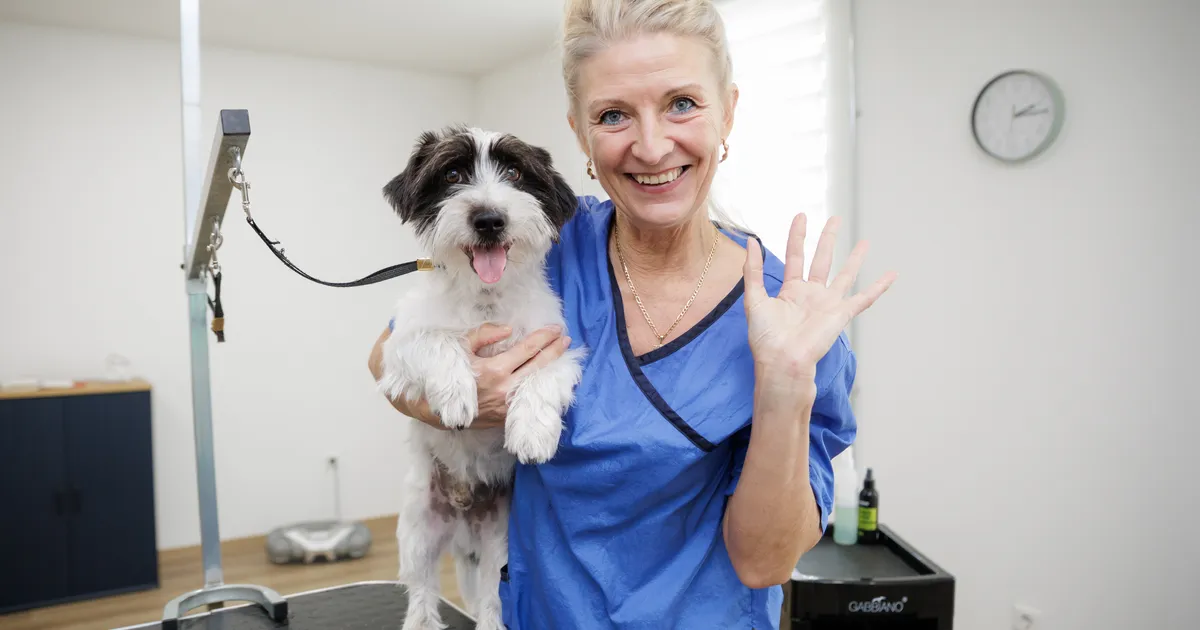 Uute ettevõtete eripalgelised pakkumised ulatuvad eksootilisest toidust lemmikute iluhoolduseni