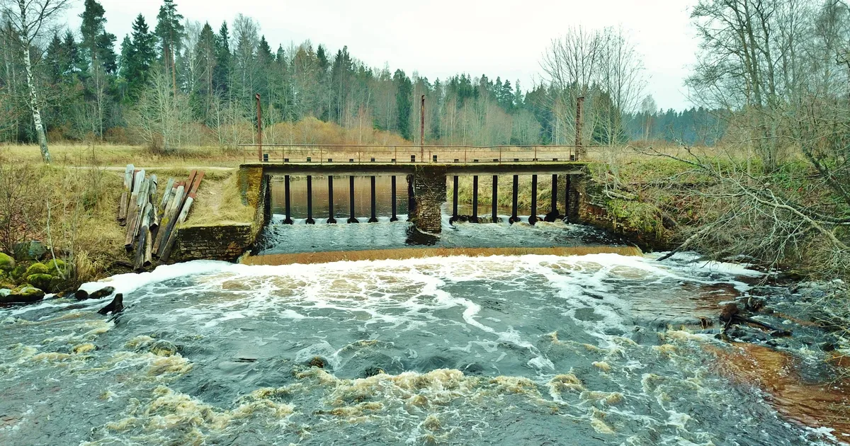 Pikk kohtuvaidlus läbi ⟩ Kotka pais läheb lammutamisele