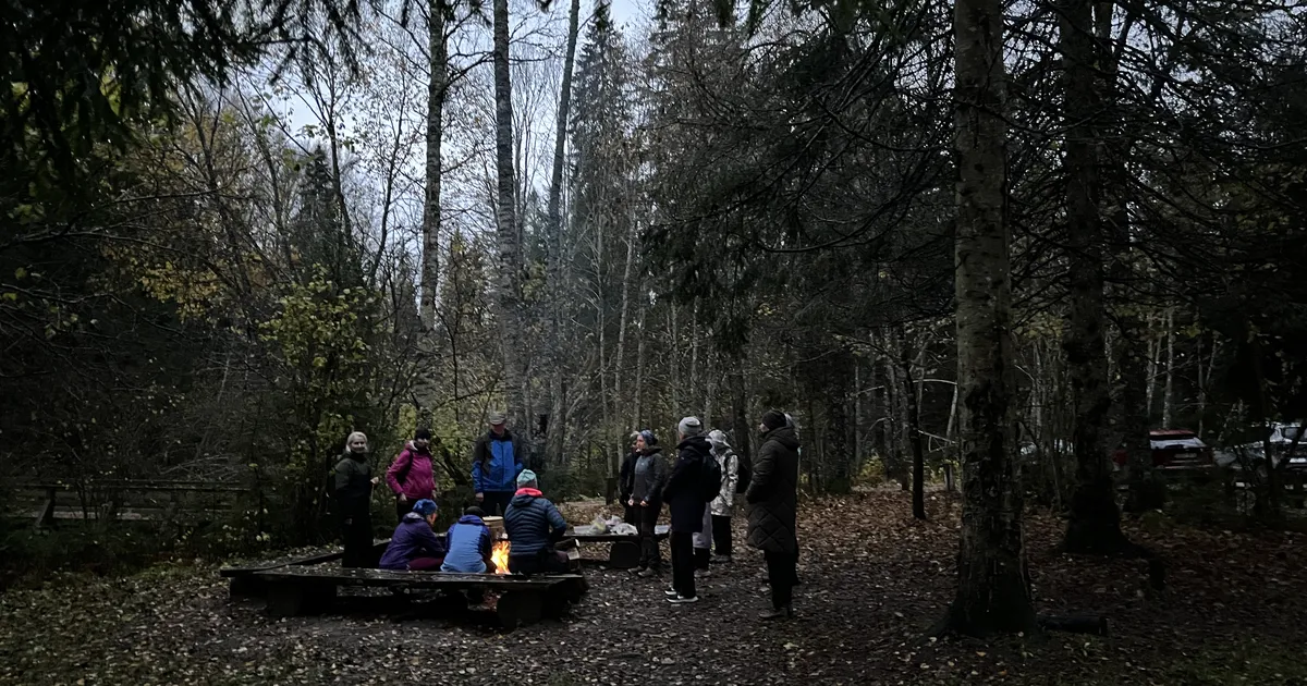 KOLUMN ⟩ Vähesed kogevad, et sügispimedus pole maailmalõpp