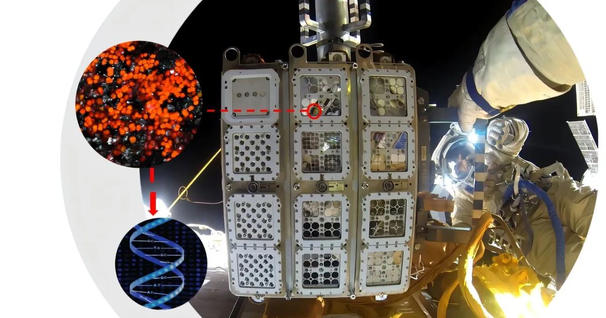 Leiti organism, kes kosmost ei karda ja Marsil ellu jääks – sealset pinnast õgides