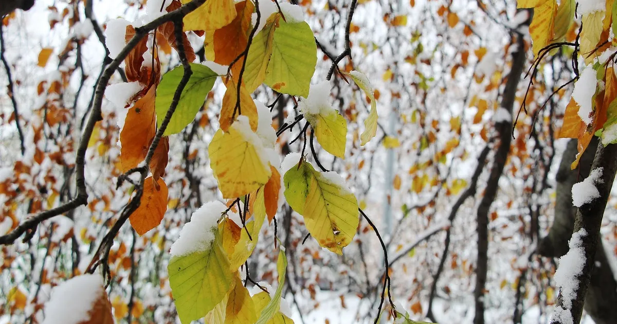 ILMATAAT ANNAB ARMU ⟩ Valged helbed jäävad nädala alguses taevasse, sünoptik Kairo Kiitsak selgitab edasist prognoosi