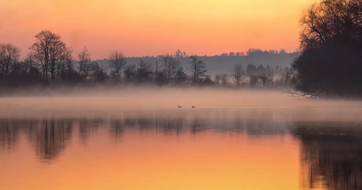 PÄEVAHOROSKOOP ⟩ 10. november: Sõnn satub keerukatesse olukordadesse, Veevalaja armusuhtes tõstab pead vajadus kallimat kontrollida