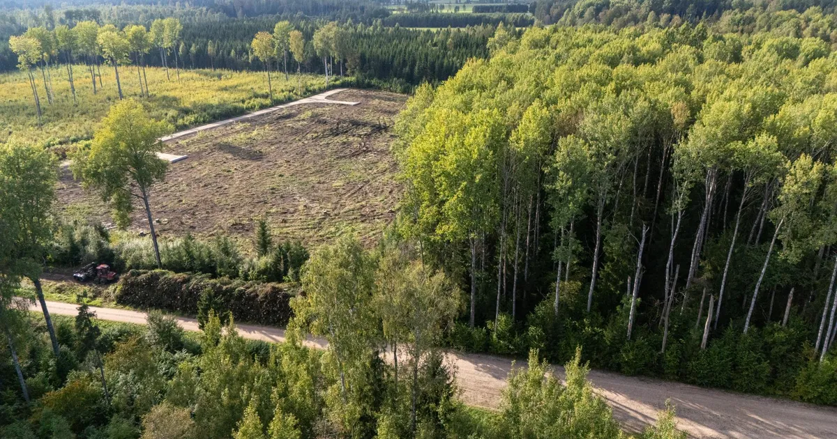 Viljandimaal algas põllumajandusloomade matmispaiga aia ehitus