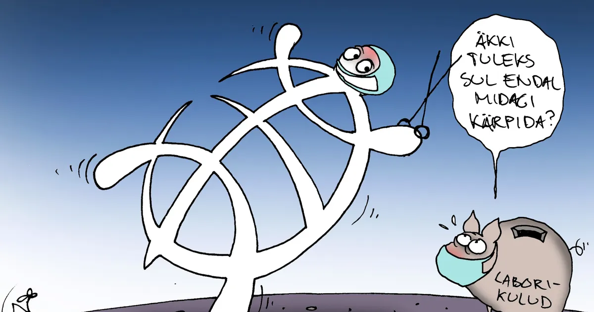 JUHTKIRI ⟩ Kärpekirves tervishoius