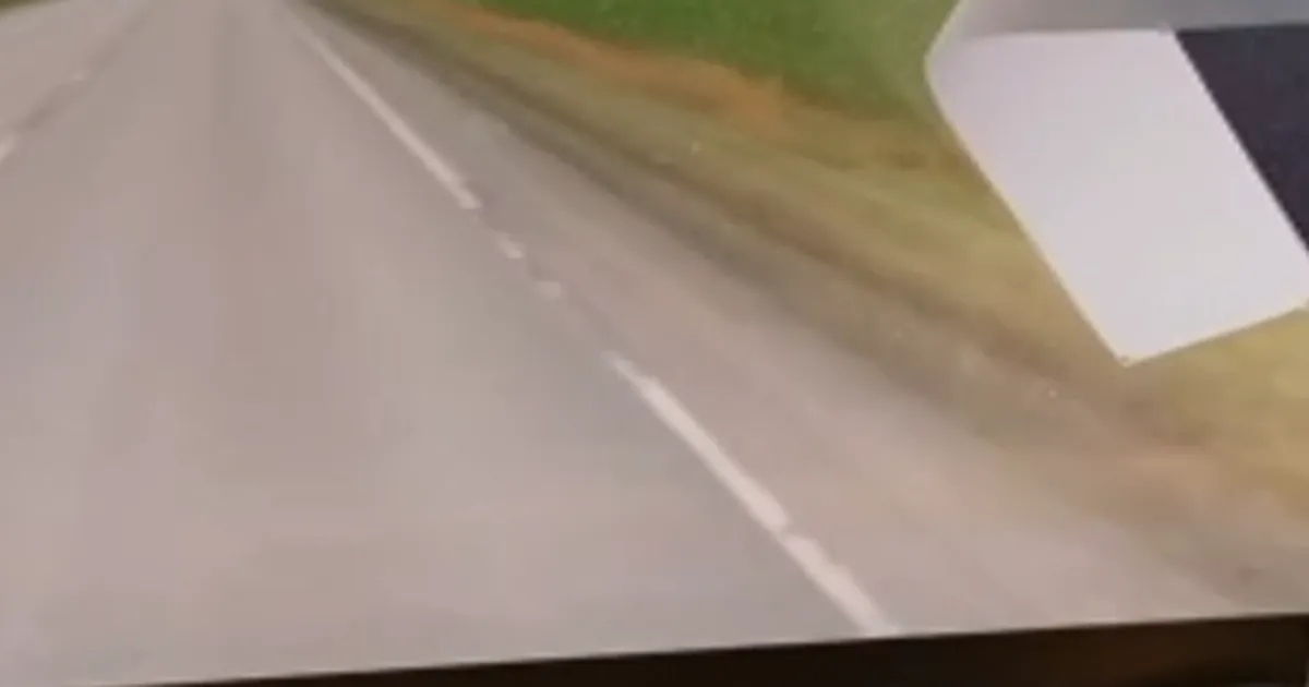 VIDEO ⟩ Tiktokis sõidu ajal live'i teinud rekajuht sai politseilt noomida: ta sai oma eksimusest aru