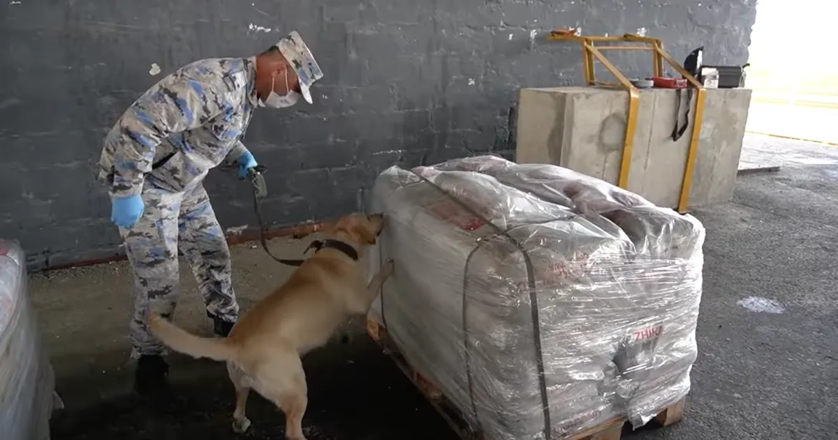 VIDEO ⟩ Aserbaidžaani toll pidas kinni Eestisse teel olnud «plaadiliimi» saadetise, millest leiti üle 450 kilo heroiini