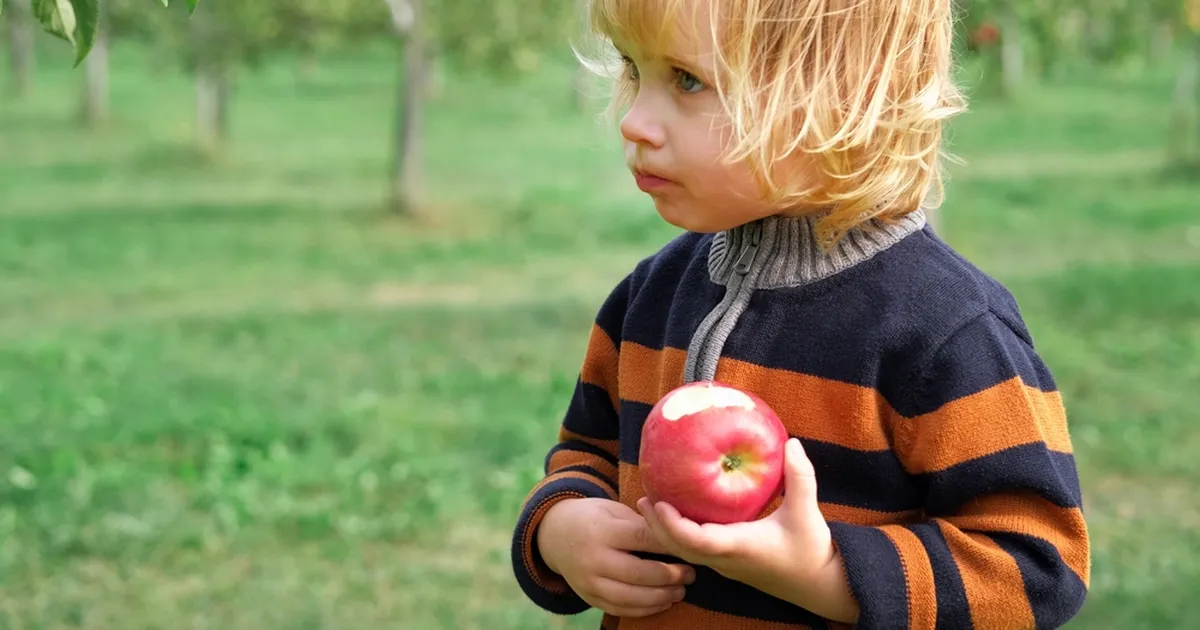 Väikelast filminud ema märkas läbi kaamerasilma midagi väga pahaendelist