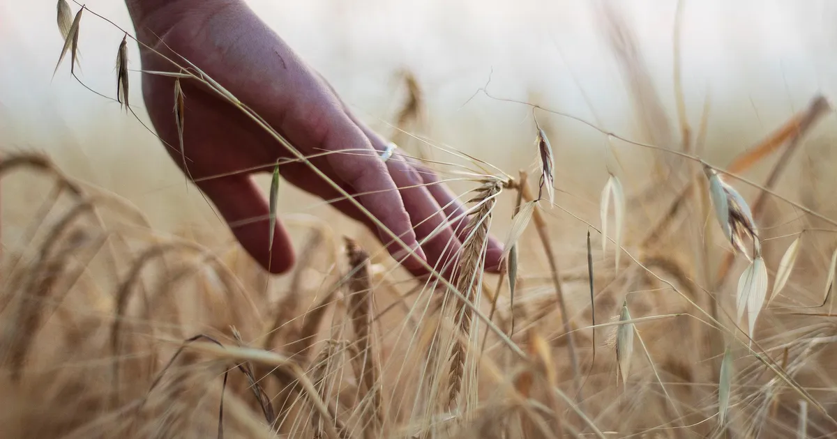 Näib, et inimeste kuues meel on kinnitust leidnud
