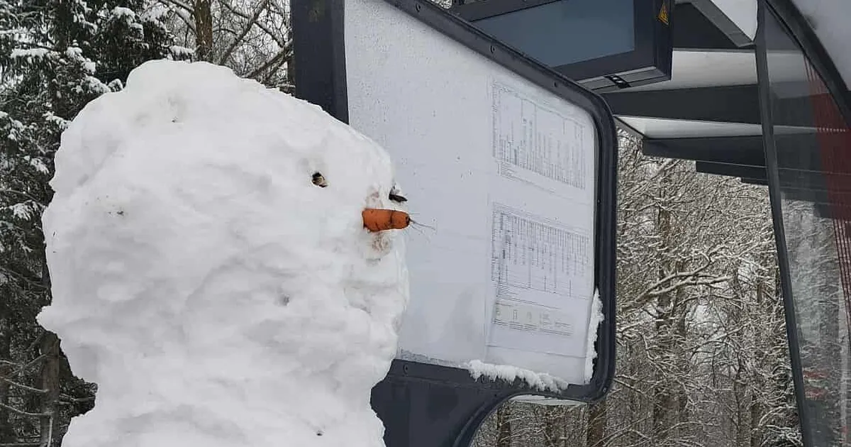 PILTUUDIS ⟩ Pedja raudteejaam sai isevärki jaamaülema