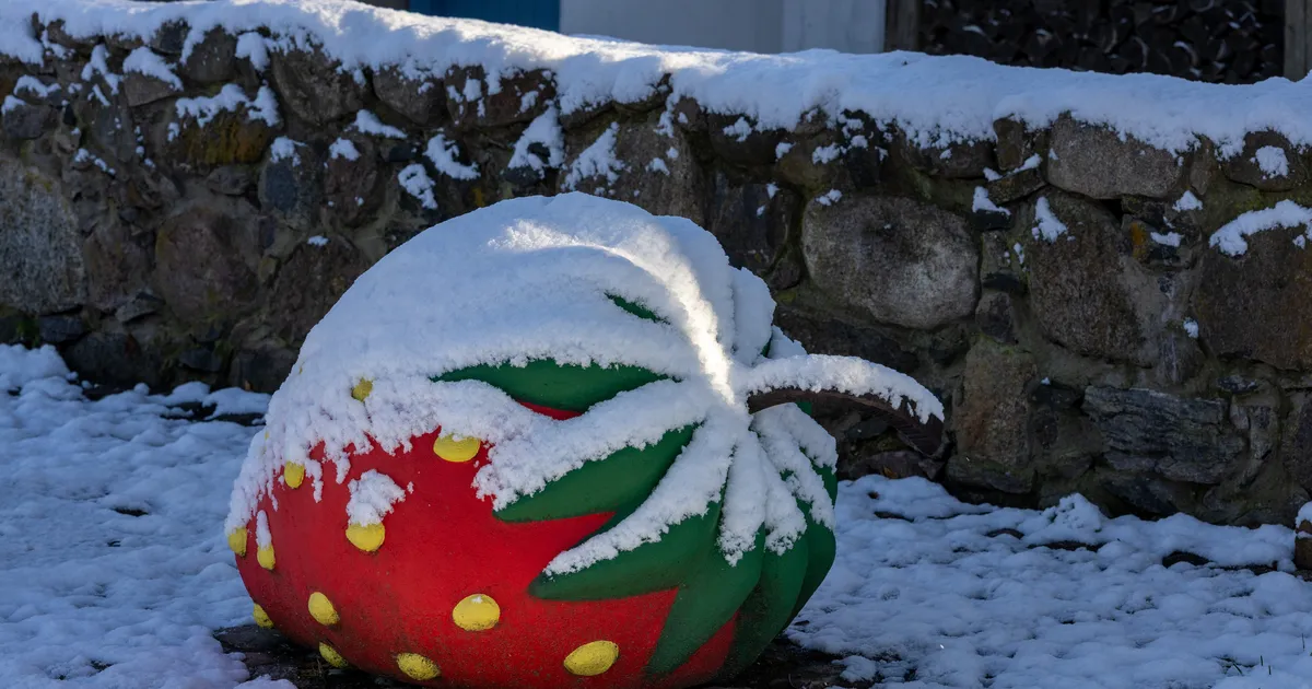 Lähipäevil on õhutemperatuur viie külma- ja kuue soojakraadi vahel