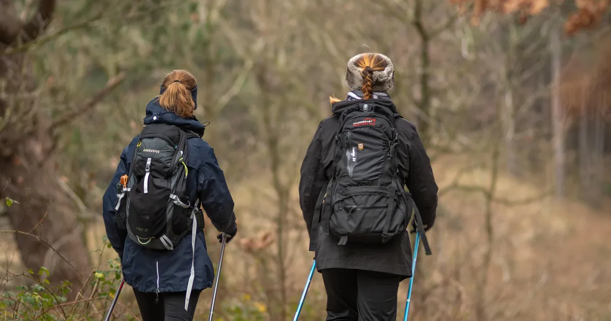 KIVIAJAS VANGIS ⟩ Inimene on käivitanud asjade revolutsiooni, millega ei jaksa sammu pidada