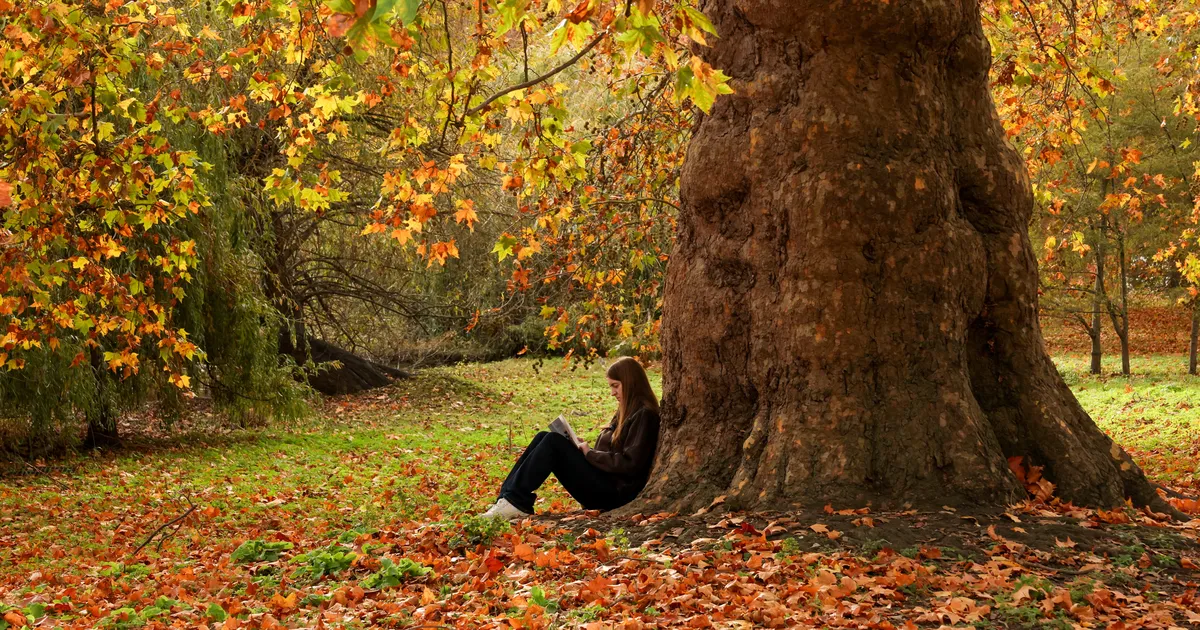 UUT LUGEMIST ⟩ Kirjastaja soovitab 4 eriti head raamatut, milles ei saa pettuda