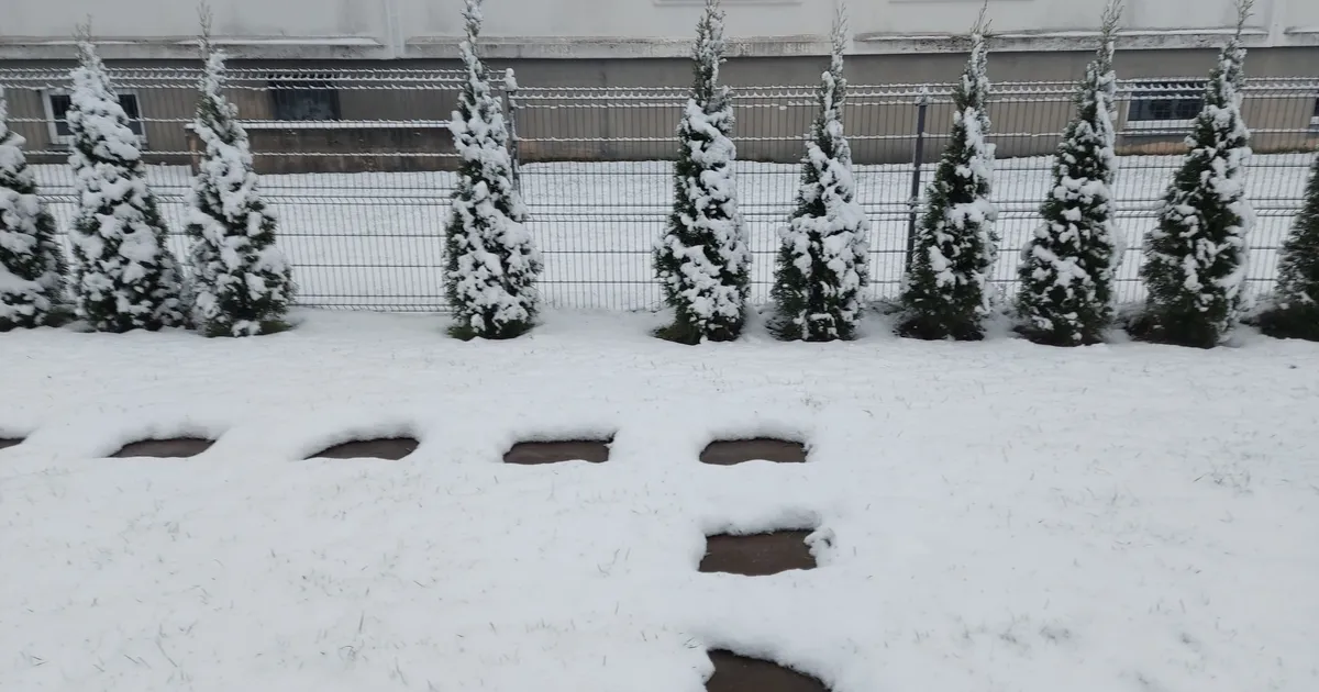 Ööl vastu neljapäeva tuleb kuni 10 kraadi külma