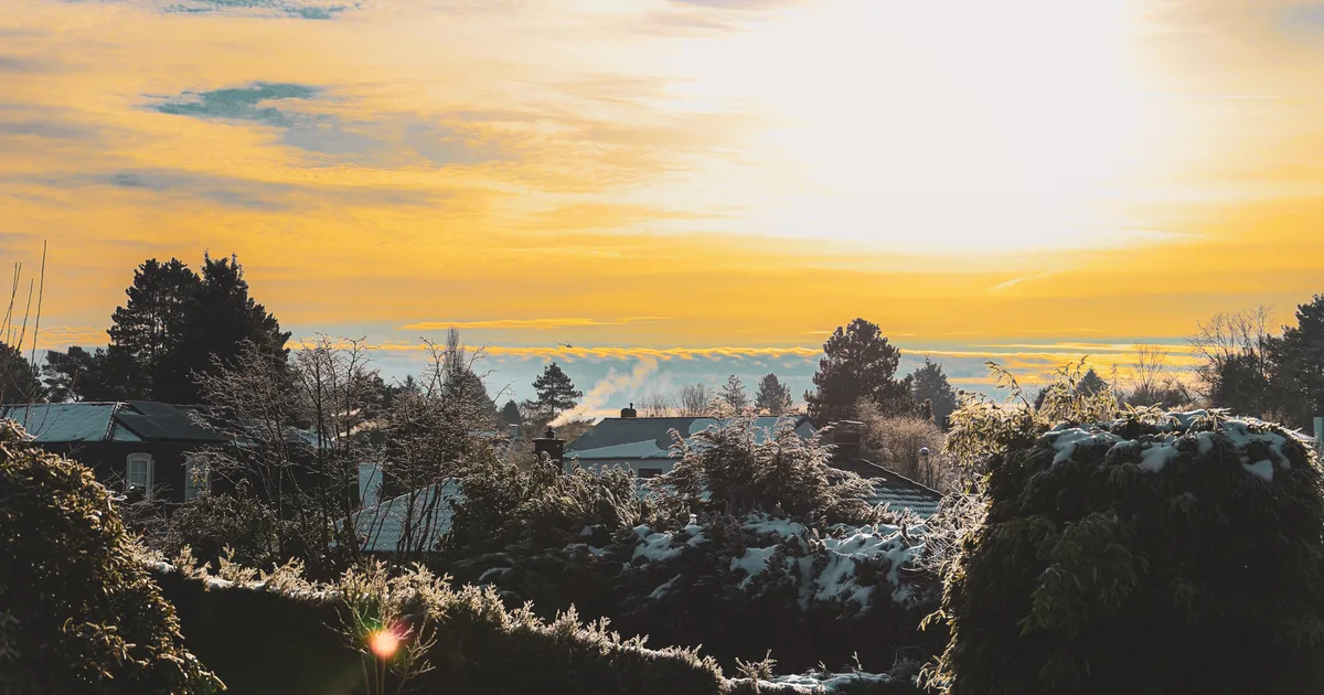 PÄEVAHOROSKOOP ⟩ 24. november: Veevalaja energiatase on väga kõrge, Jääral soodne aeg vaimse töö tegemiseks