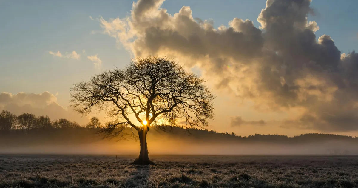 NÄDALAPROGNOOS ⟩ Suhetes on suured ümberkorraldused ja arengud: kuristiku põhjast üles tähtede poole