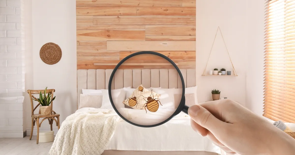 See iseloomulik lõhn võib reeta, et majapidamises on lutikad