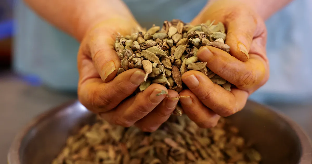 Ühe armastatud vürtsiga on sel aastal kehvad lood