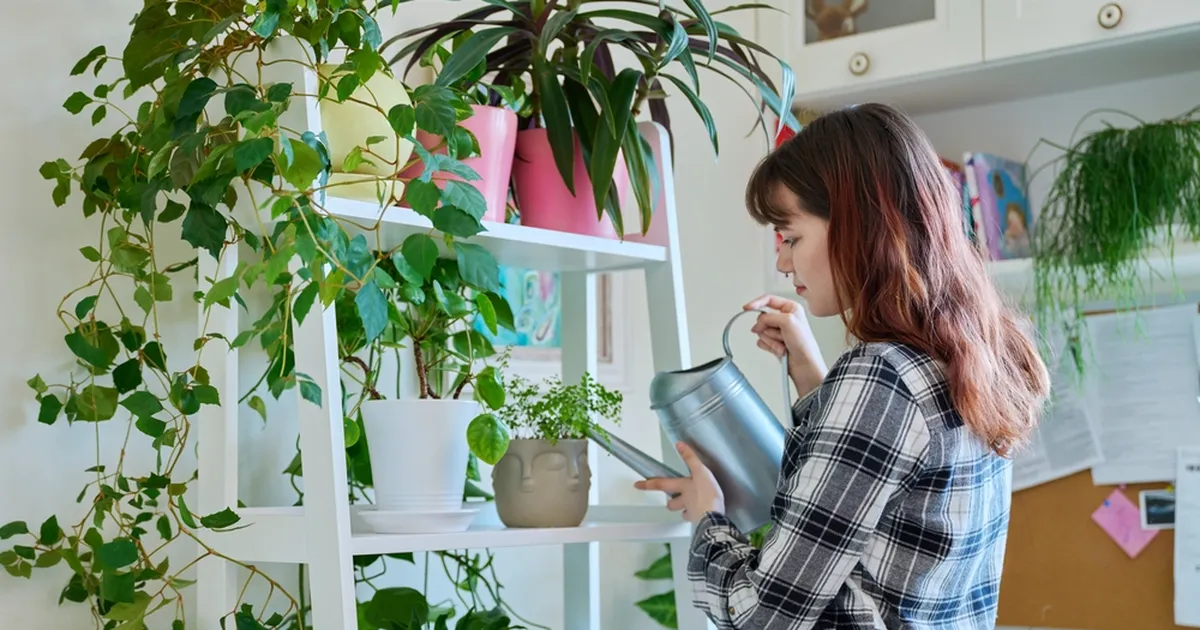 4 toataime, mis aitavad vähendada õhuniiskust ja hallitust