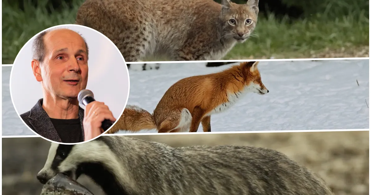 Elupõline seikleja Riho Västrik: sain mõnusa kotka- ja karukogemuse kätte