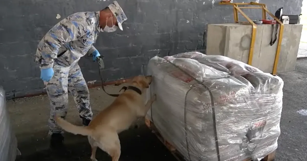 Aserbaidžaani toll hoidis USA luureinfo abil ära poole tonni heroiini Eestisse toomise. Kes oli Eestis narkolaadungi vastuvõtja?